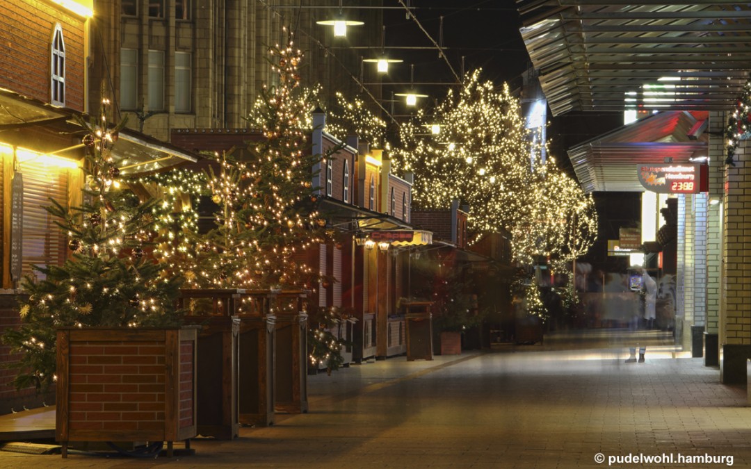 Die Geister die ich rief